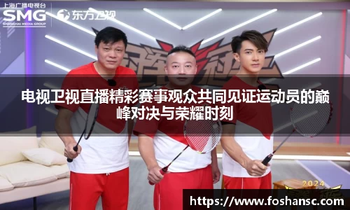 电视卫视直播精彩赛事观众共同见证运动员的巅峰对决与荣耀时刻