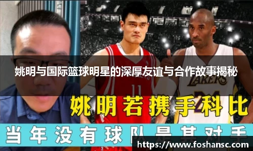 JJB竞技宝官网