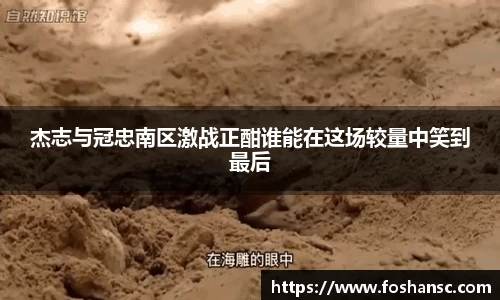 竞技宝JJB