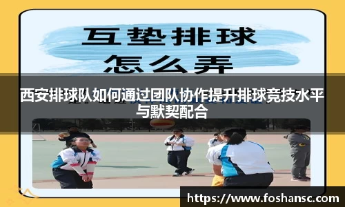 JJB竞技宝官网